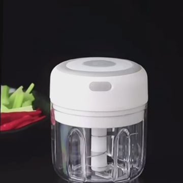 Household vegetable cutting electric garlic masher